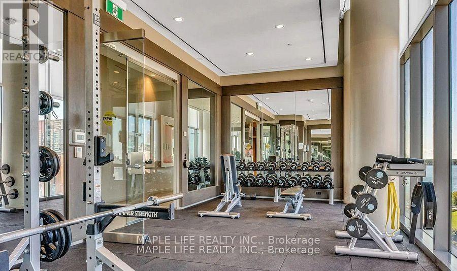 823 - 12 Bonnycastle Street, Toronto, ON - Indoor Photo Showing Gym Room