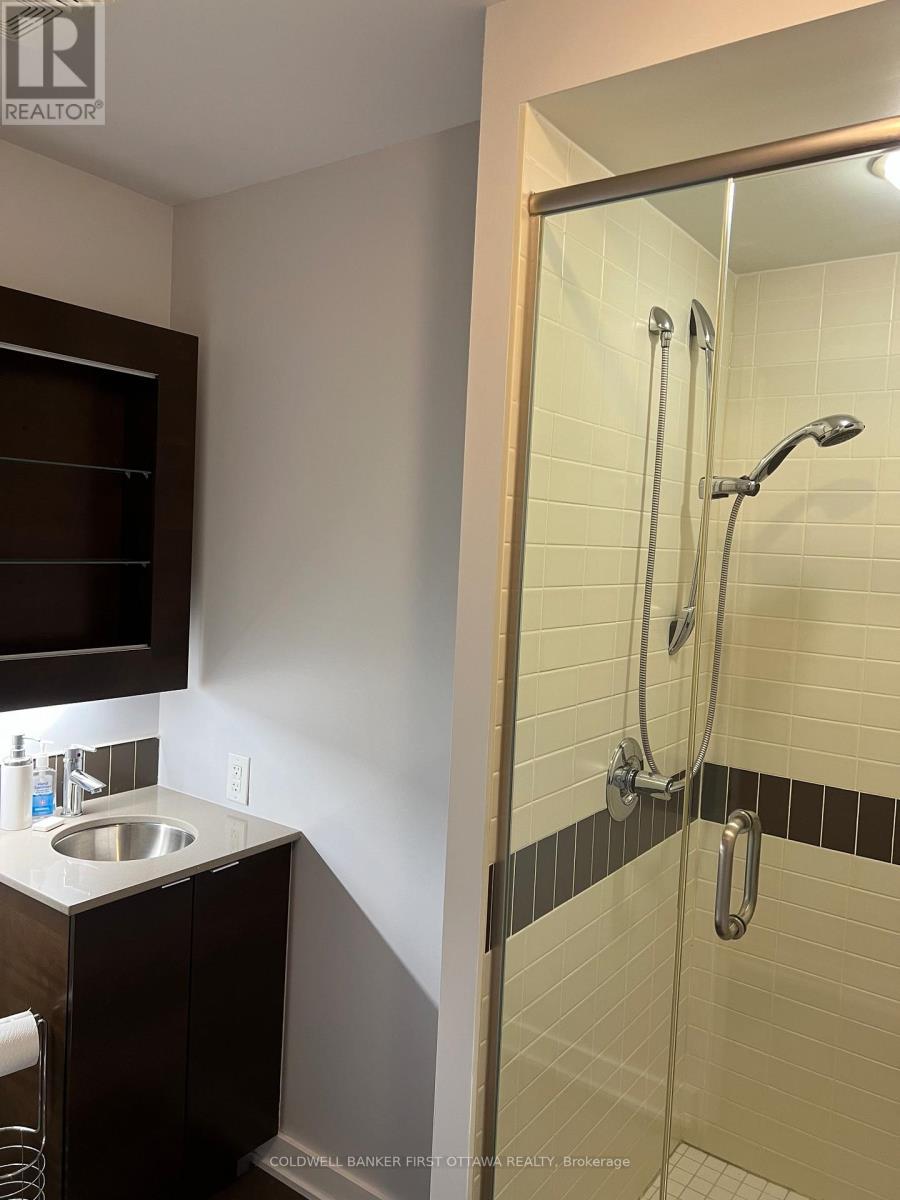 914 - 324 Laurier Avenue W, Ottawa, ON - Indoor Photo Showing Bathroom