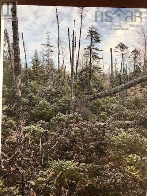 3 Cloverdale Road, Birch Hill, NS