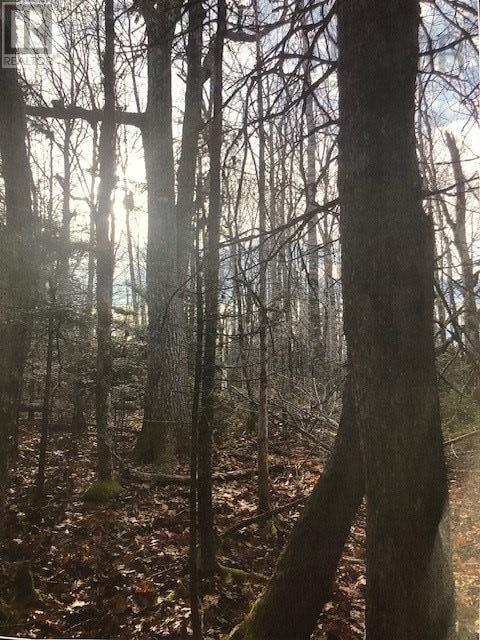 3 Cloverdale Road, Birch Hill, NS