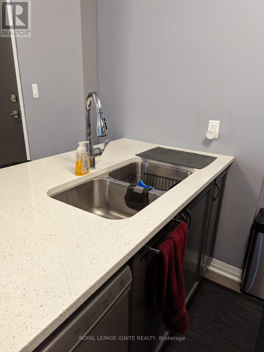 314 - 2 Adam Sellers Street, Markham, ON - Indoor Photo Showing Kitchen With Double Sink