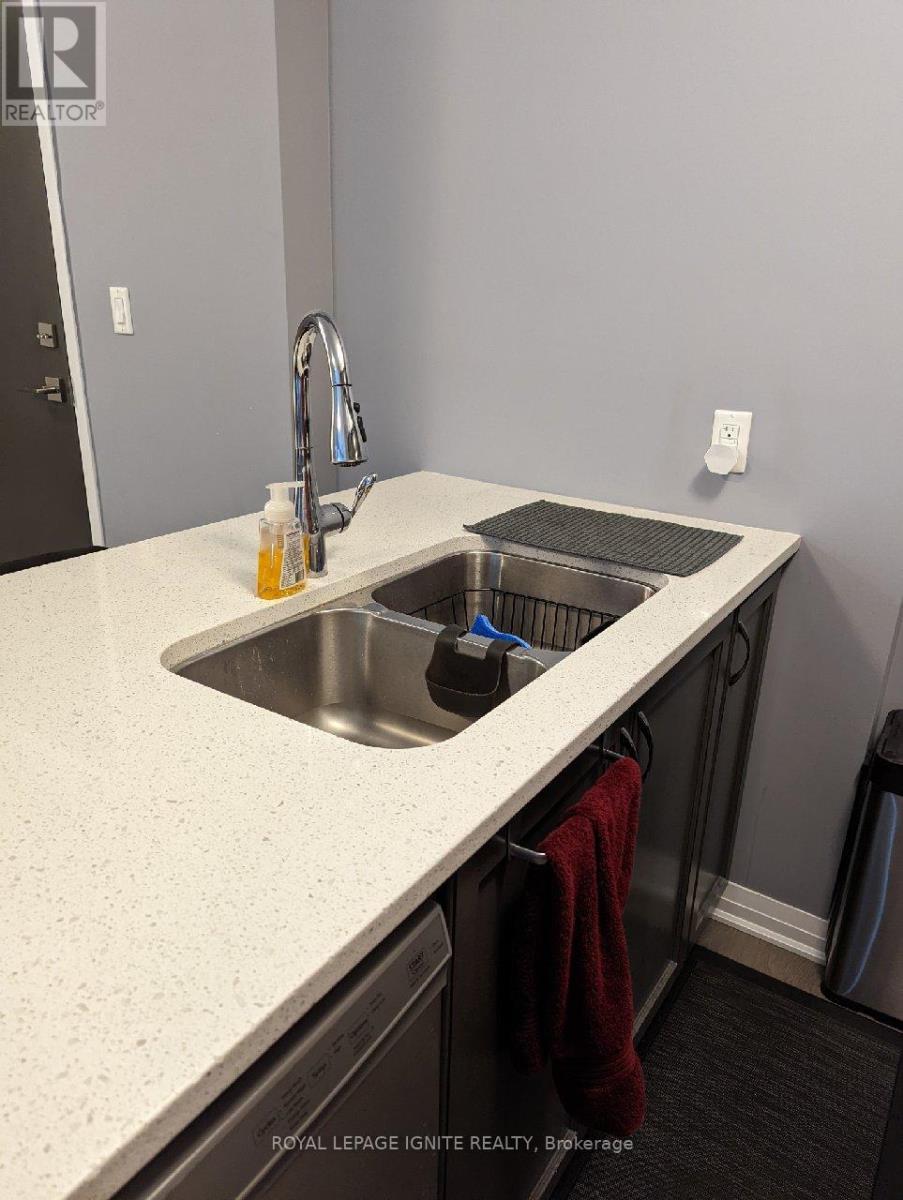 314 - 2 Adam Sellers Street, Markham, ON - Indoor Photo Showing Kitchen With Double Sink