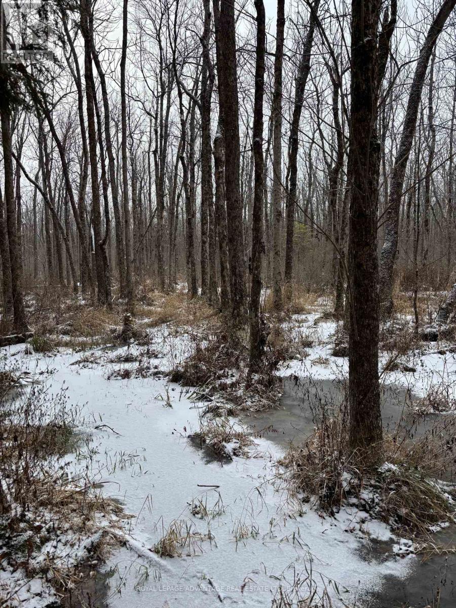 0 Wolford Centre Road, Merrickville-Wolford, ON