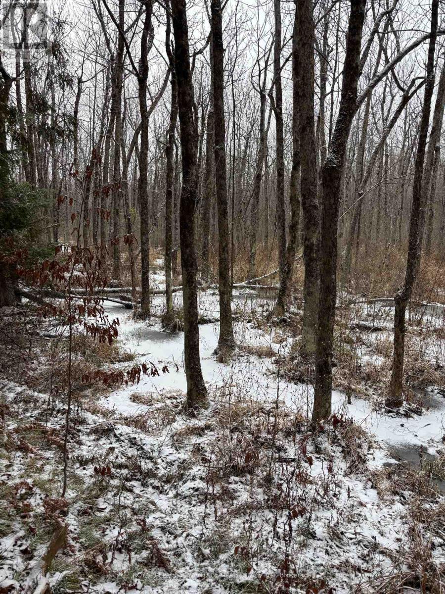 0 Wolford Centre Road, Merrickville-Wolford, ON