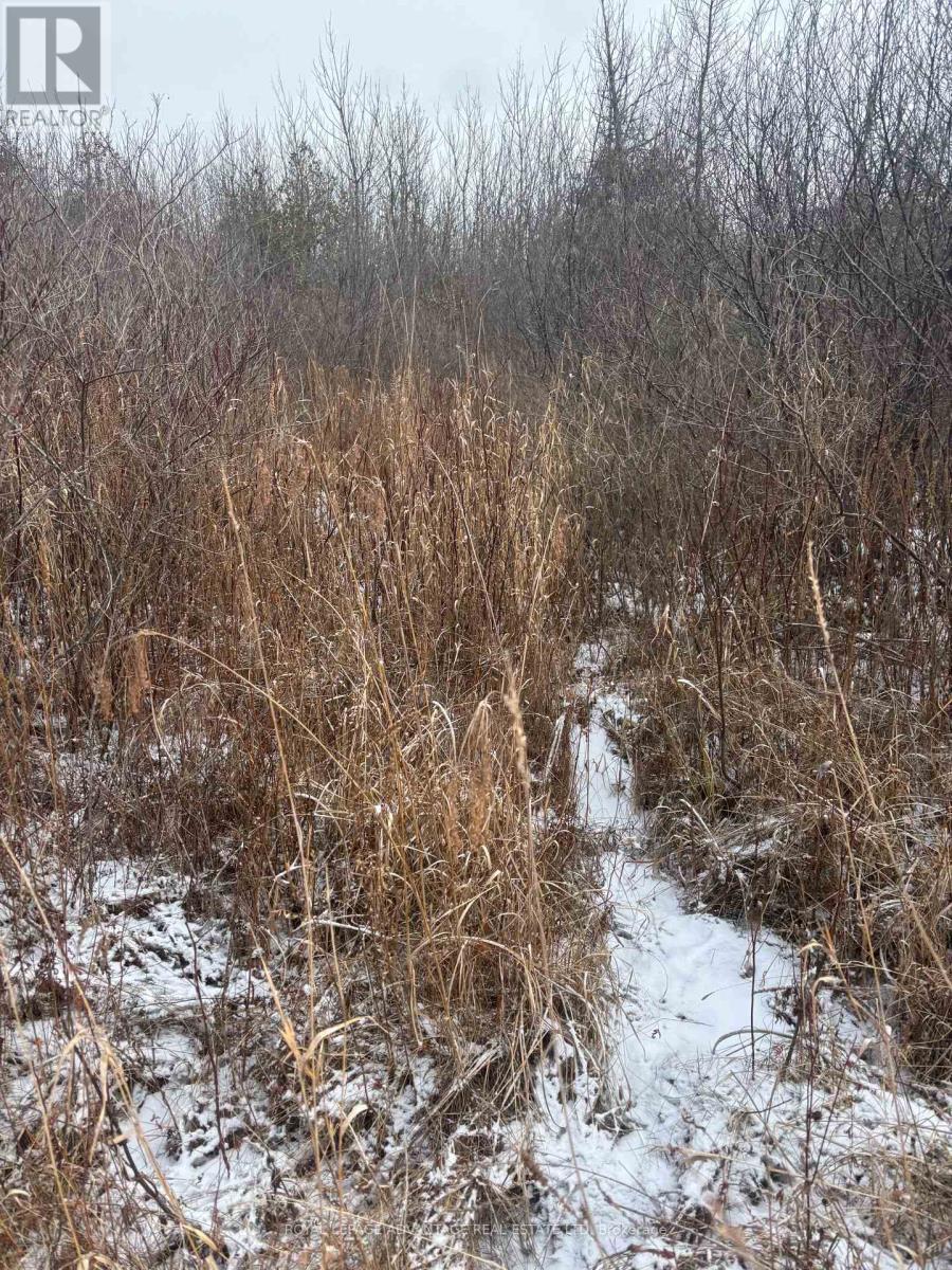 0 Wolford Centre Road, Merrickville-Wolford, ON