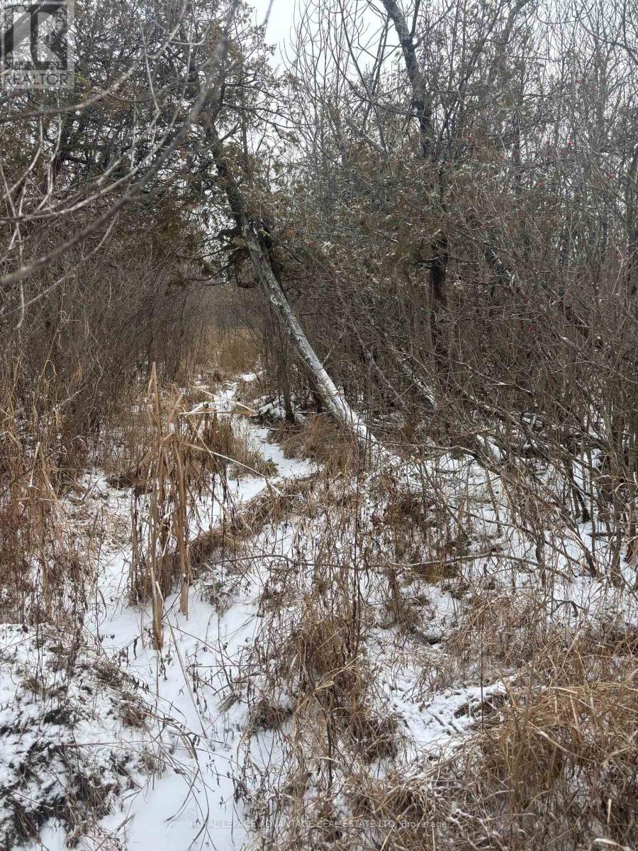 0 Wolford Centre Road, Merrickville-Wolford, ON