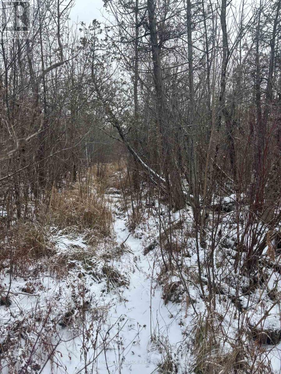 0 Wolford Centre Road, Merrickville-Wolford, ON