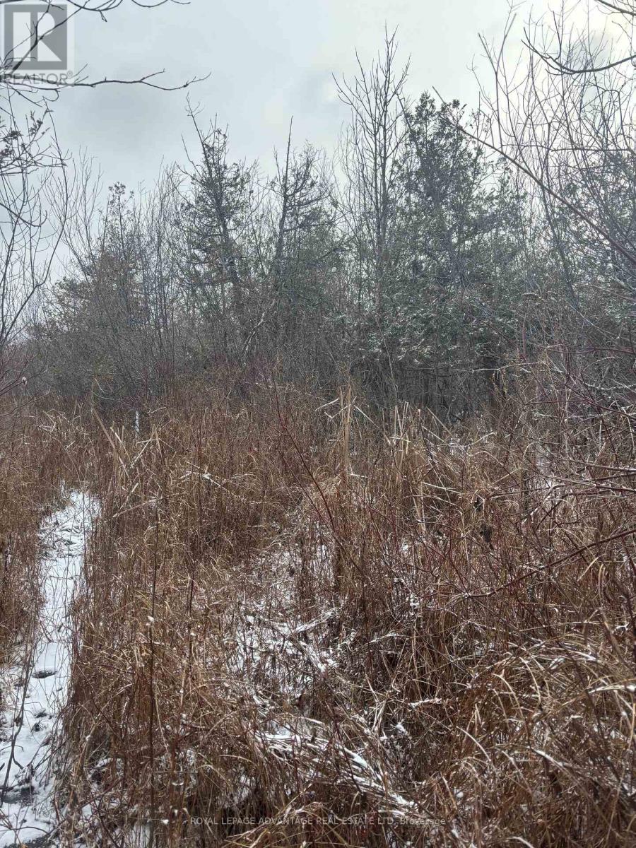 0 Wolford Centre Road, Merrickville-Wolford, ON