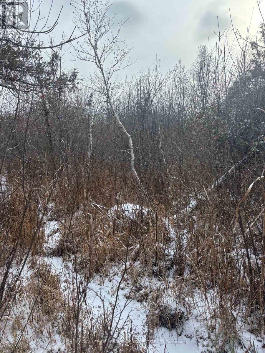 0 Wolford Centre Road, Merrickville-Wolford, ON