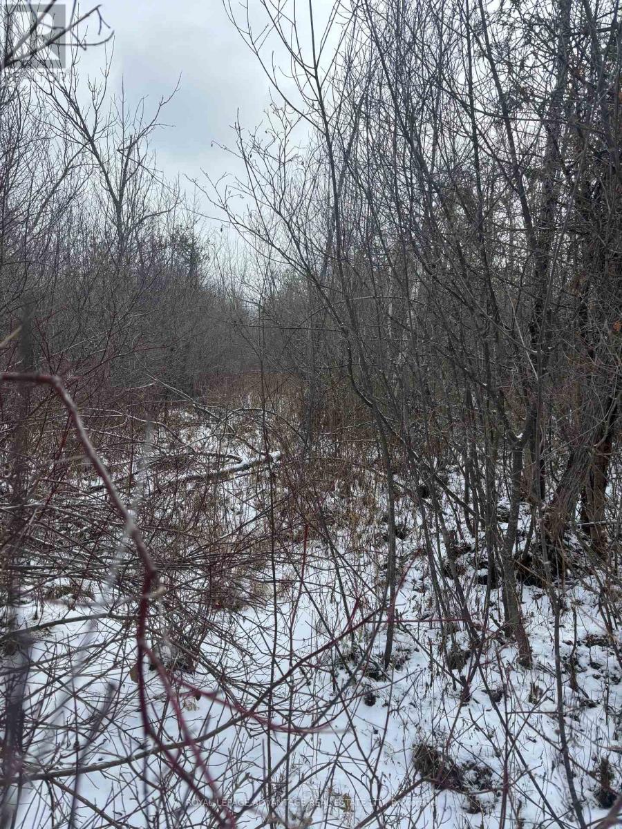 0 Wolford Centre Road, Merrickville-Wolford, ON