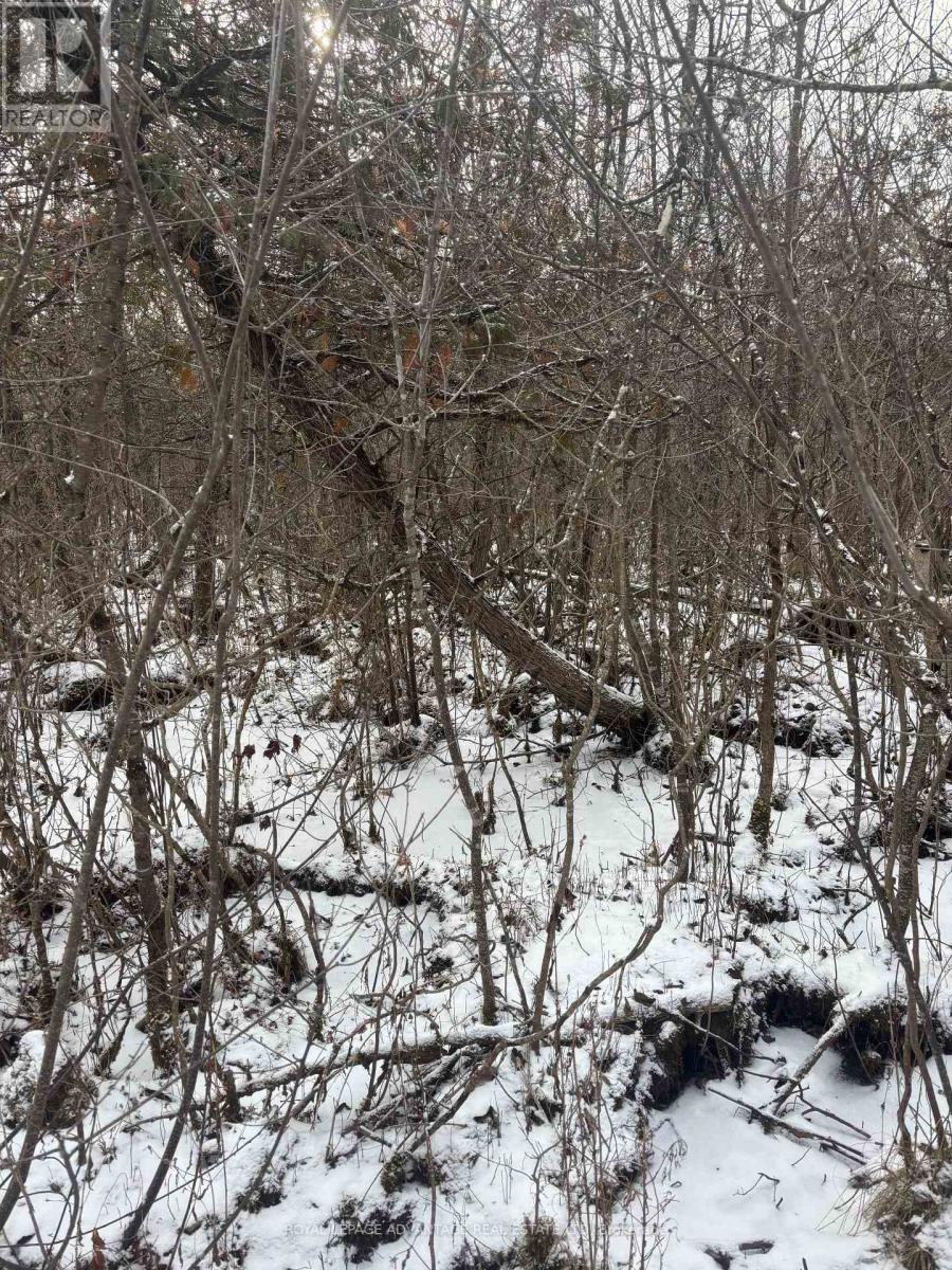 0 Wolford Centre Road, Merrickville-Wolford, ON