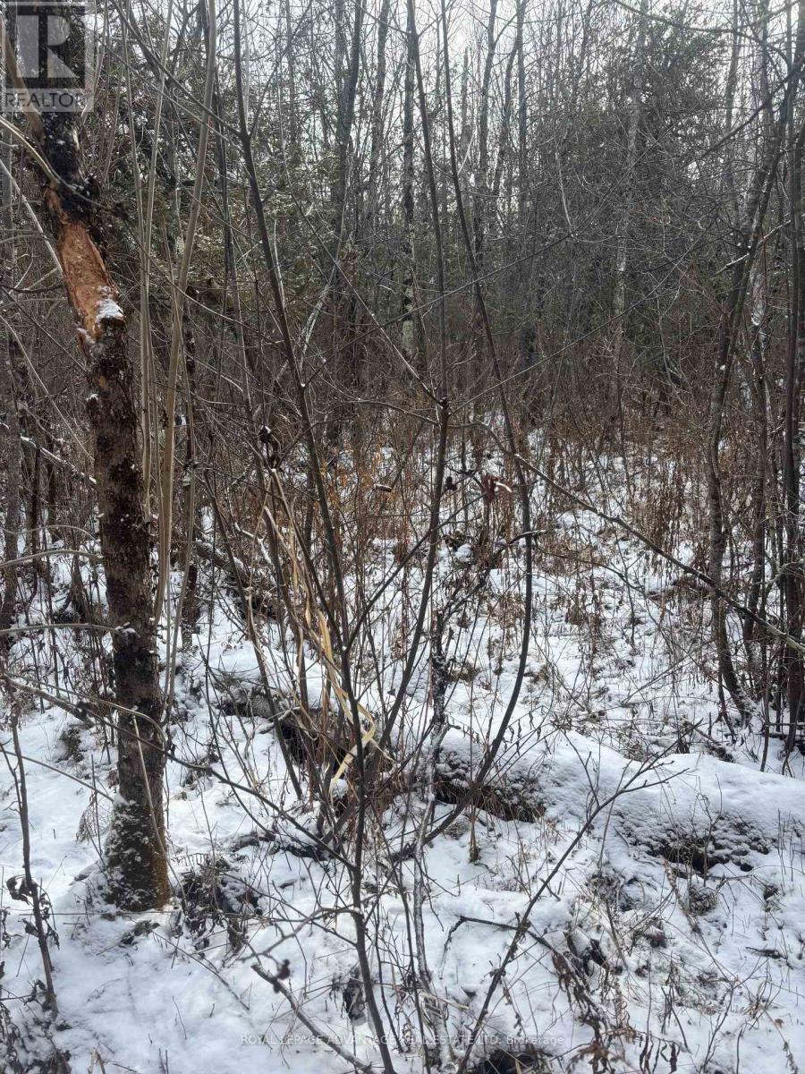 0 Wolford Centre Road, Merrickville-Wolford, ON