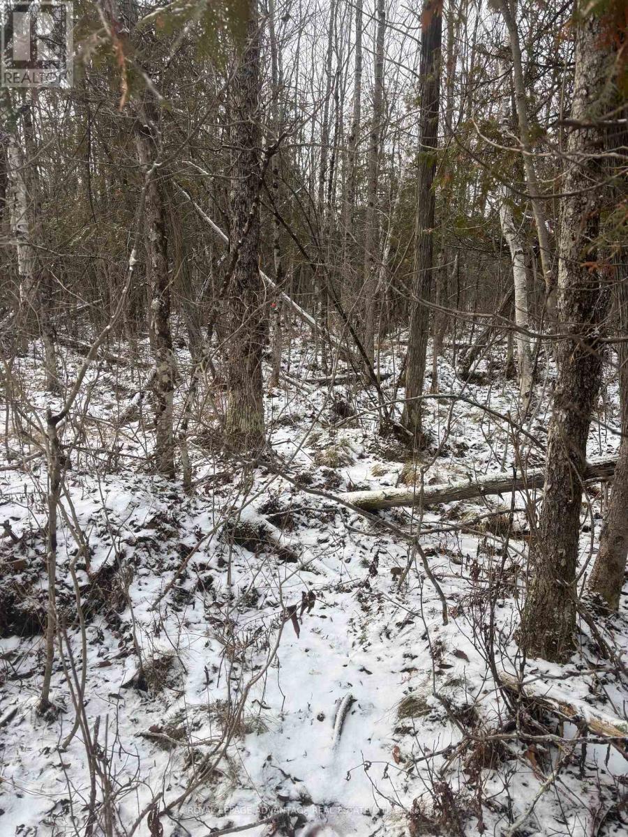 0 Wolford Centre Road, Merrickville-Wolford, ON