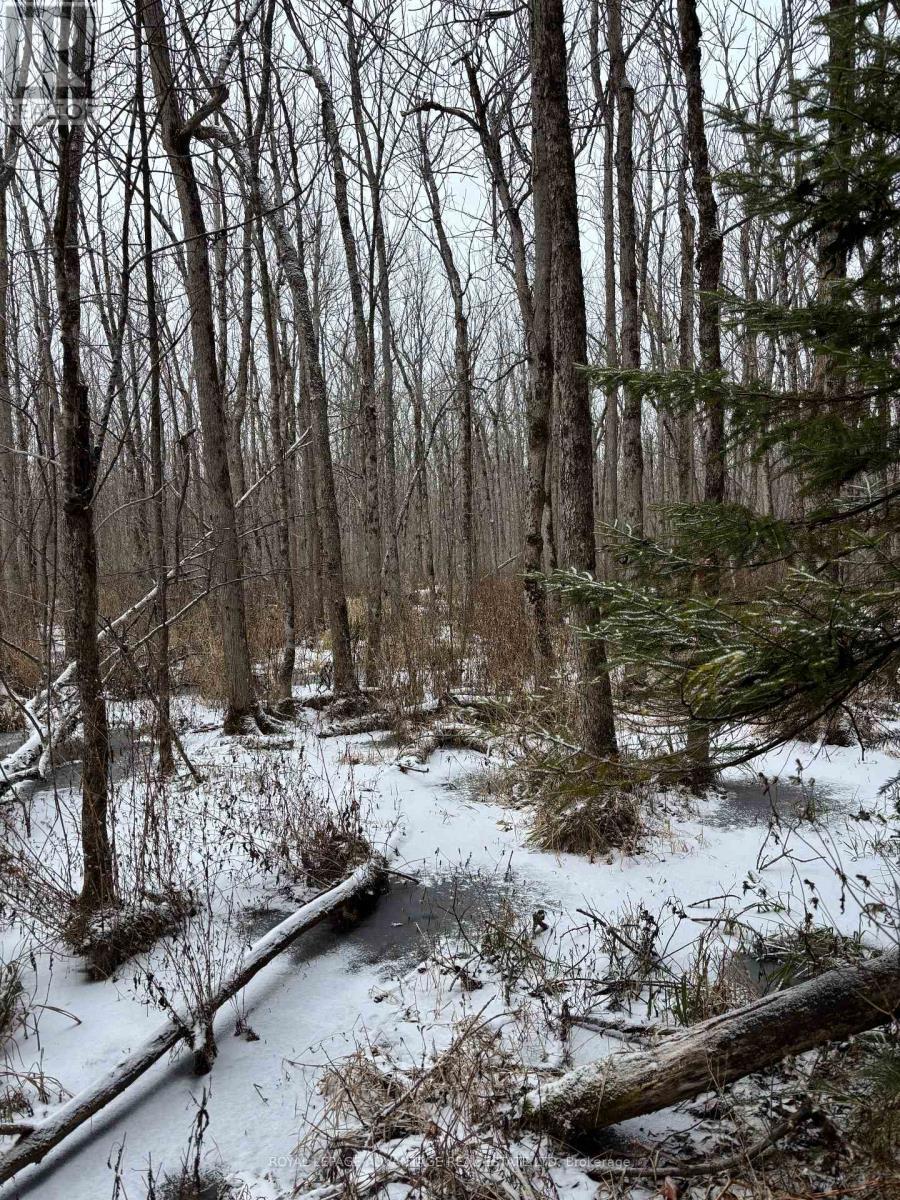 0 Wolford Centre Road, Merrickville-Wolford, ON