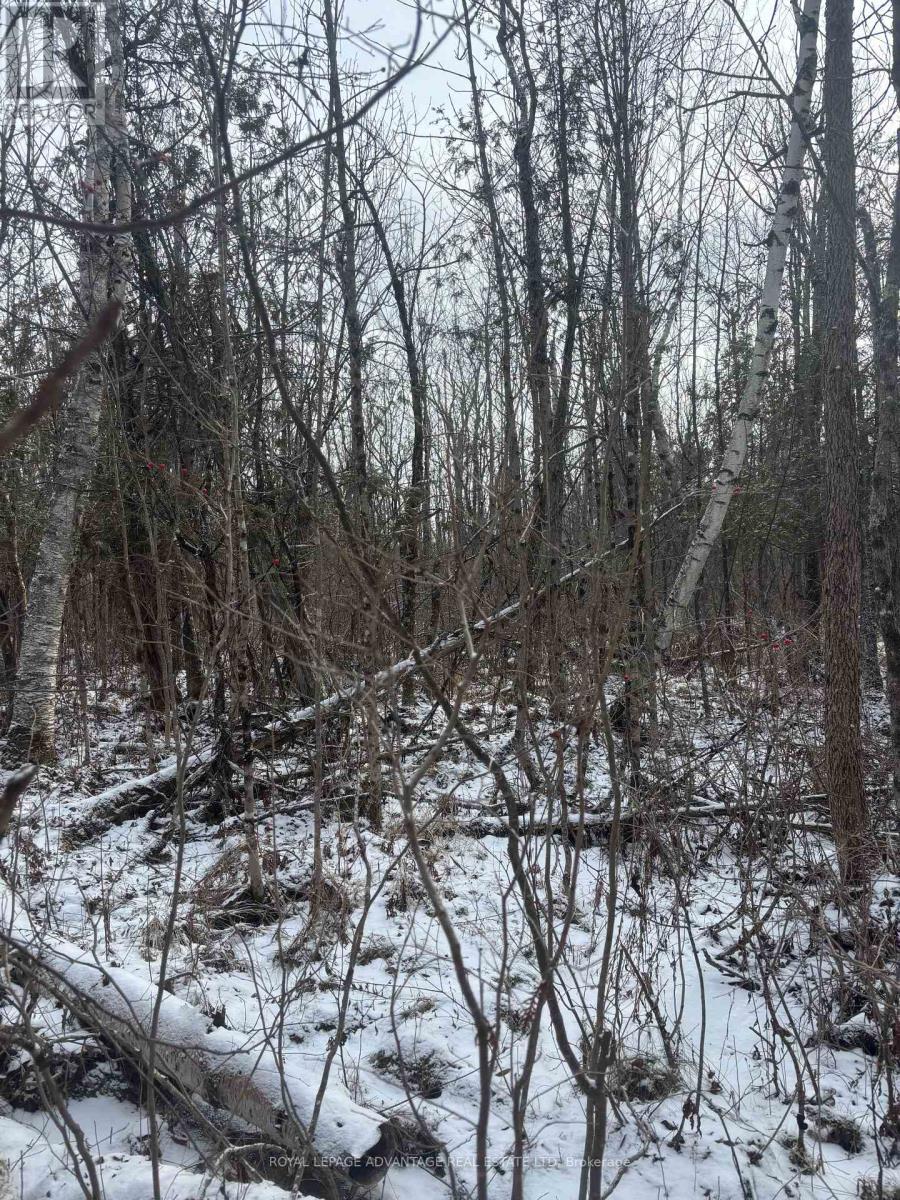 0 Wolford Centre Road, Merrickville-Wolford, ON