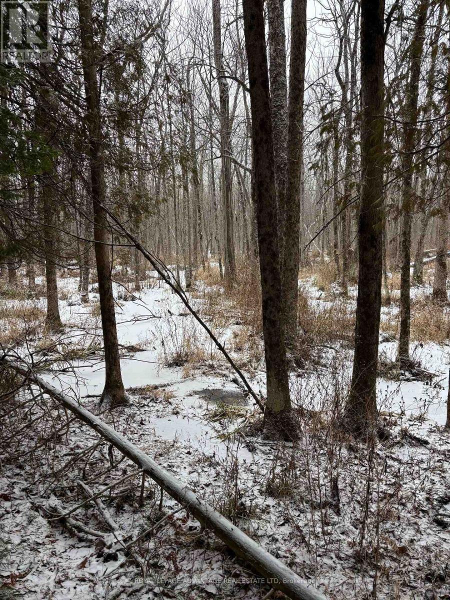 0 Wolford Centre Road, Merrickville-Wolford, ON