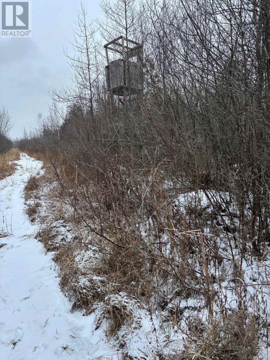 0 Wolford Centre Road, Merrickville-Wolford, ON