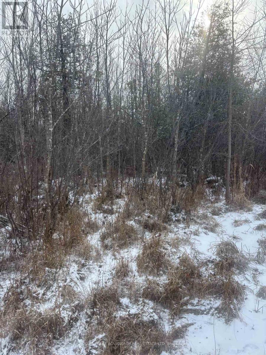 0 Wolford Centre Road, Merrickville-Wolford, ON