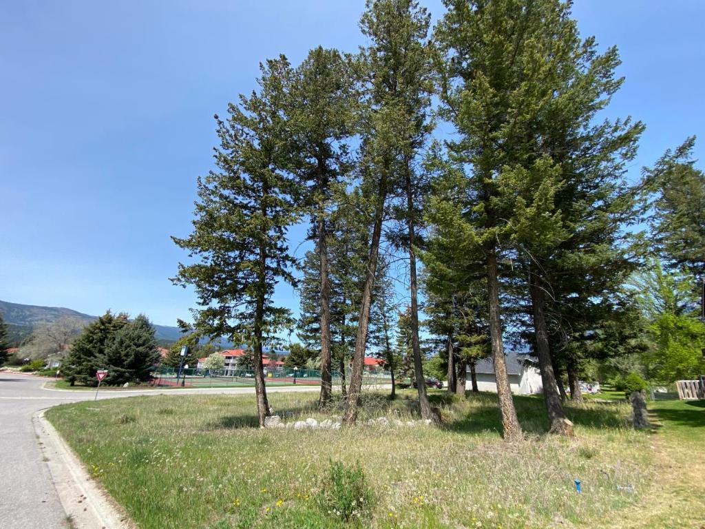 Lot 59 Riverview Gate Road, Fairmont Hot Springs, BC - Outdoor With View