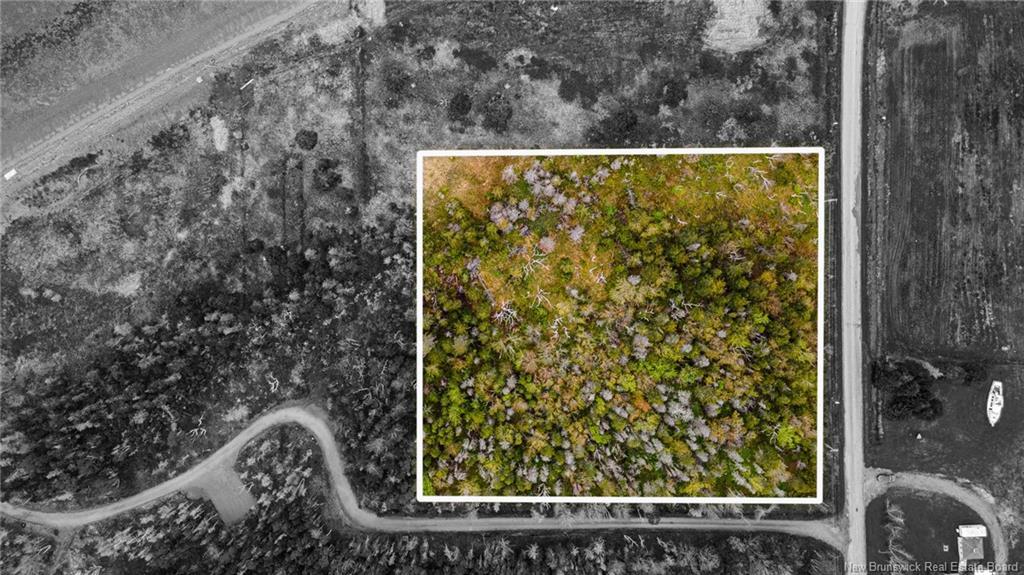 1.08Hec Ch De La Tourbiere, Pokesudie, NB