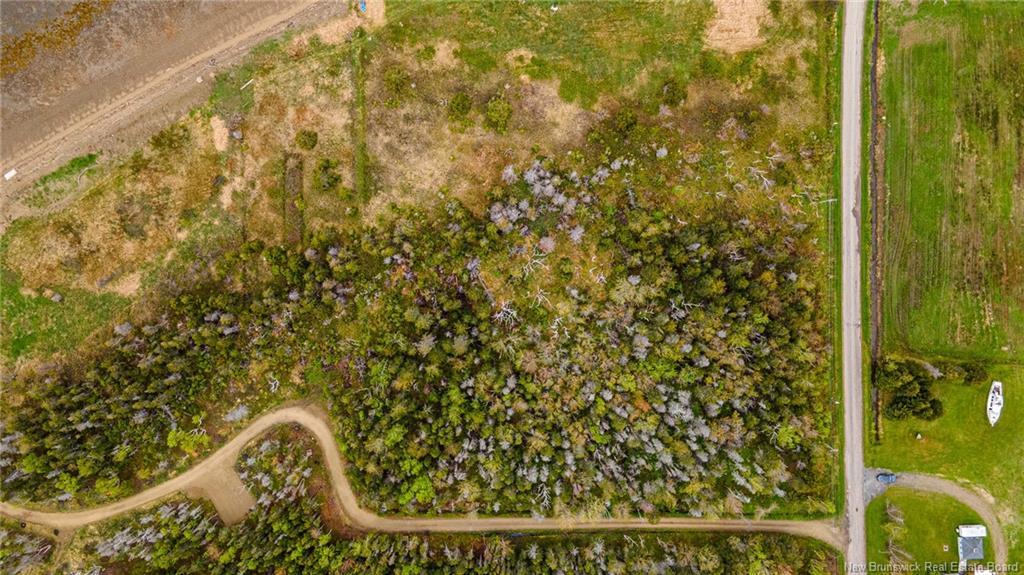 1.08Hec Ch De La Tourbiere, Pokesudie, NB