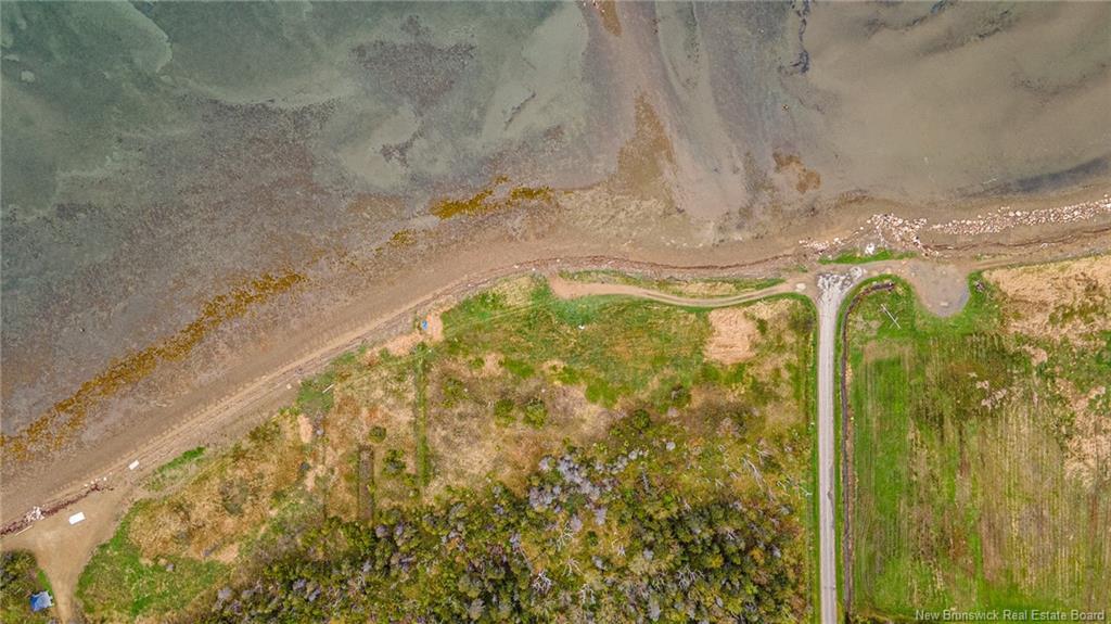 1.08Hec Ch De La Tourbiere, Pokesudie, NB