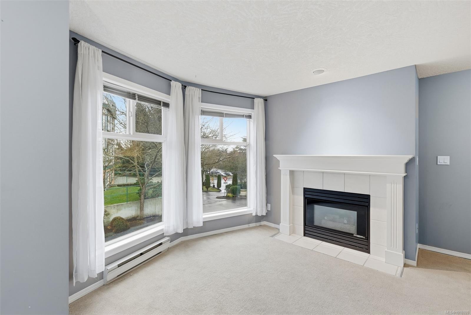 306-894 Vernon Ave, Saanich, BC - Indoor Photo Showing Living Room With Fireplace