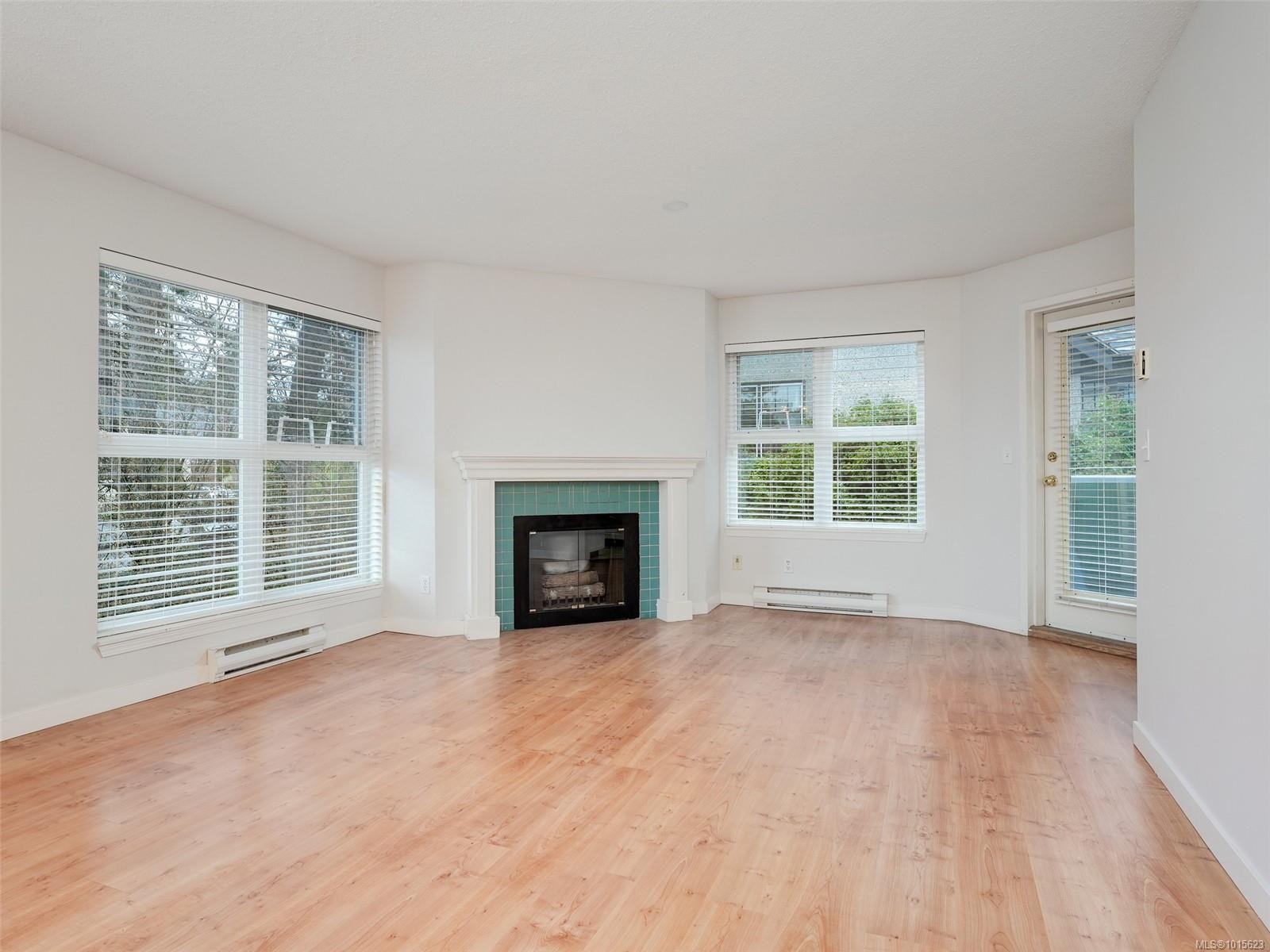 302-1201 Hillside Ave, Victoria, BC - Indoor Photo Showing Living Room With Fireplace