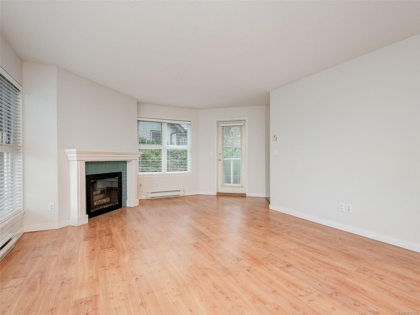 302-1201 Hillside Ave, Victoria, BC - Indoor Photo Showing Living Room With Fireplace