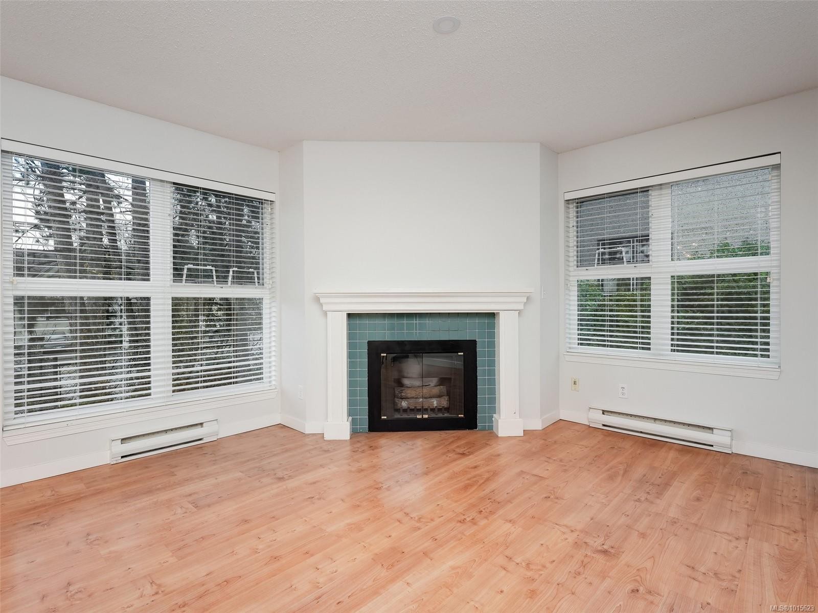 302-1201 Hillside Ave, Victoria, BC - Indoor Photo Showing Living Room With Fireplace