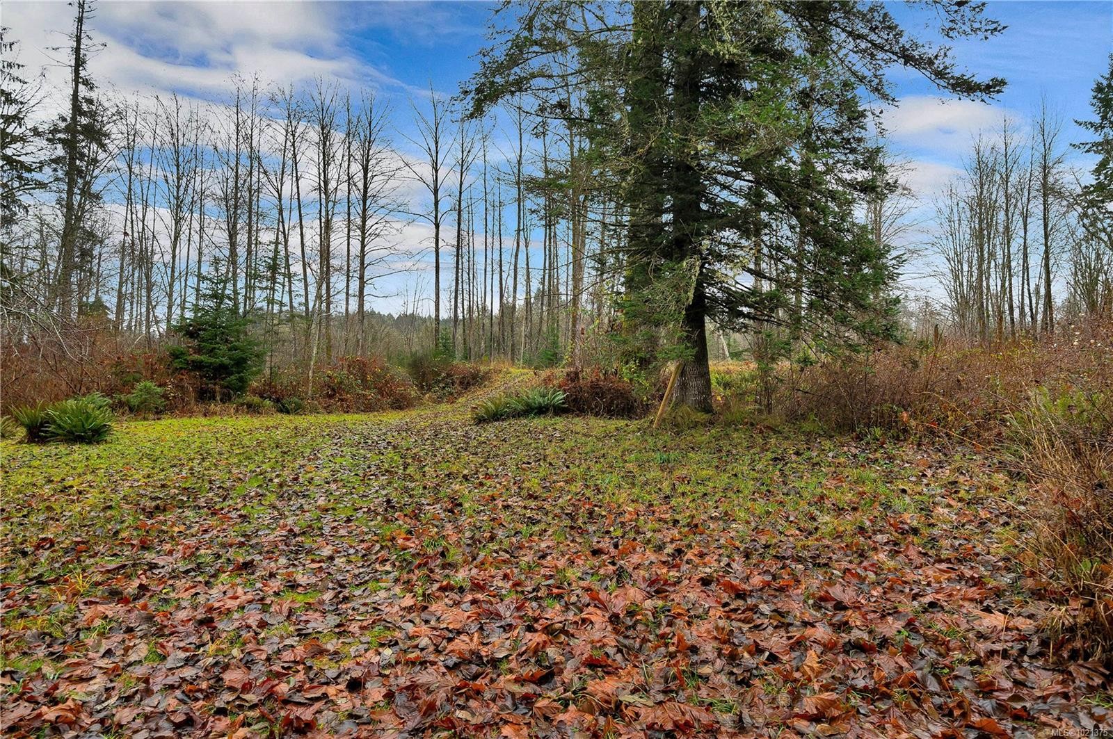 2509 Glenmore Rd, Campbell River, BC
