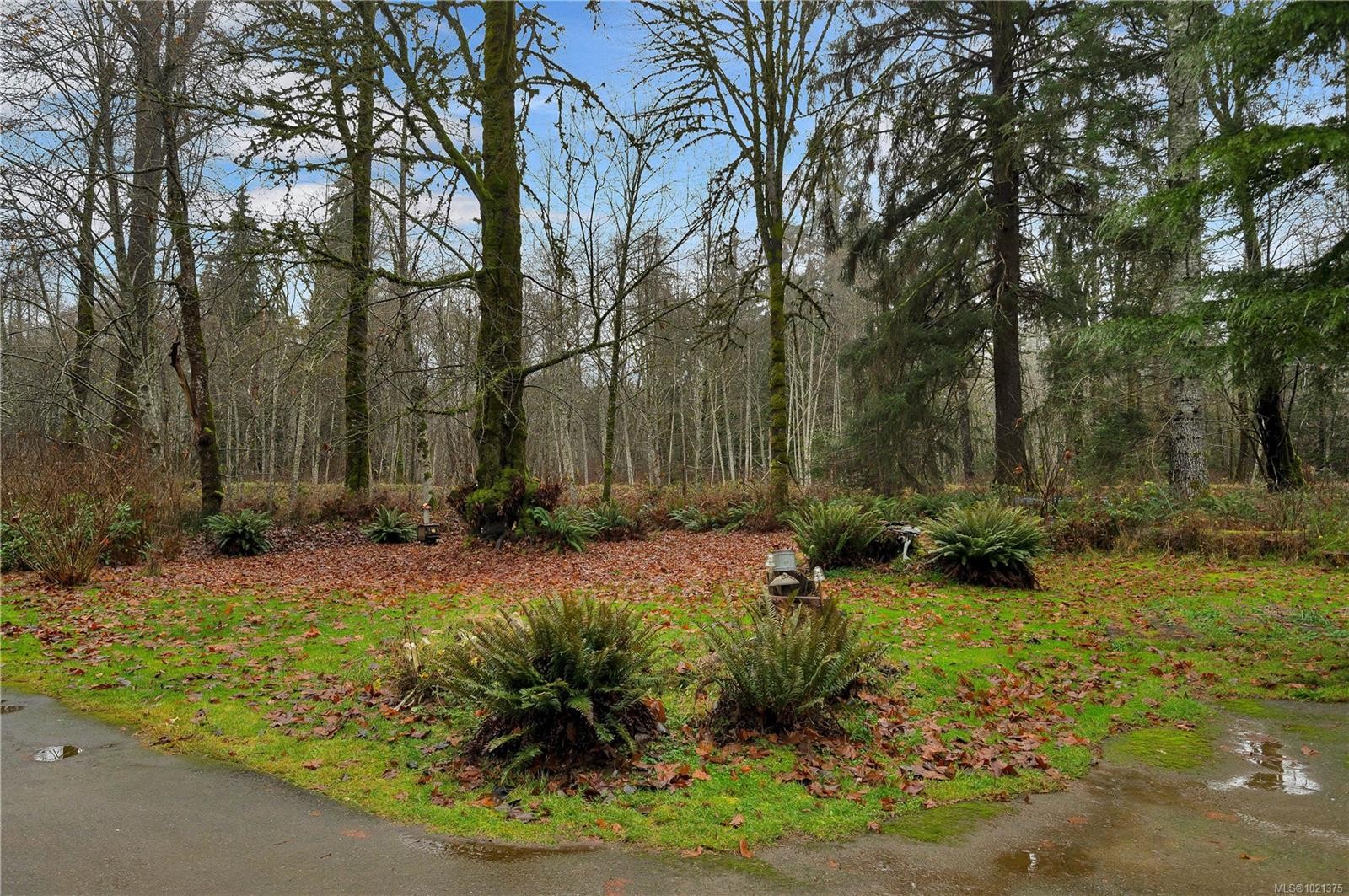 2509 Glenmore Rd, Campbell River, BC