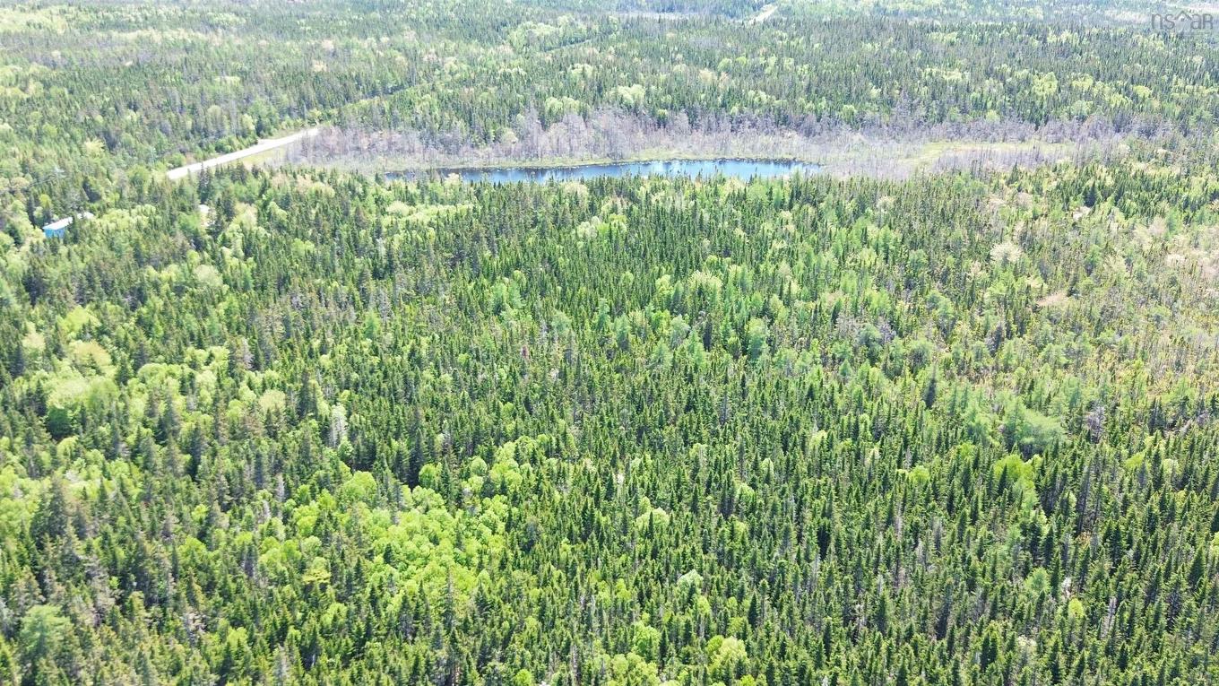 320 Highway, D'Escousse, NS