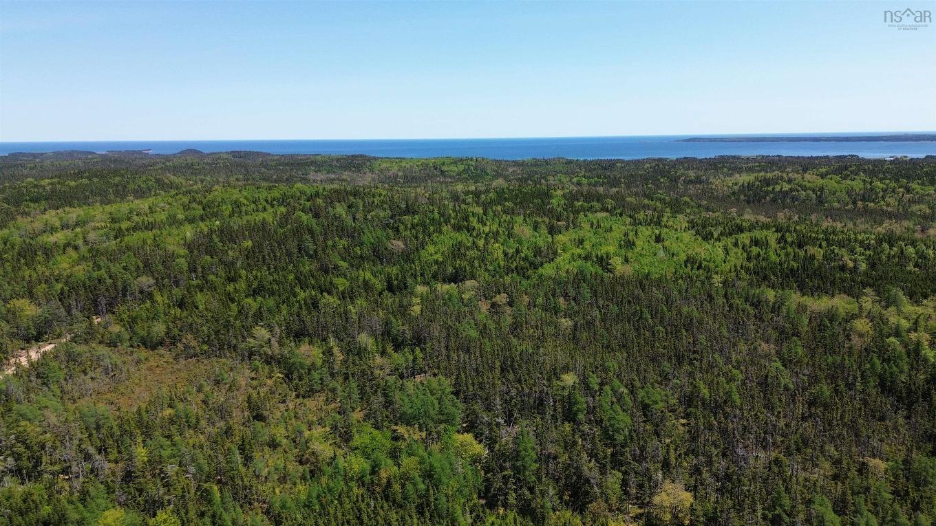 320 Highway, D'Escousse, NS