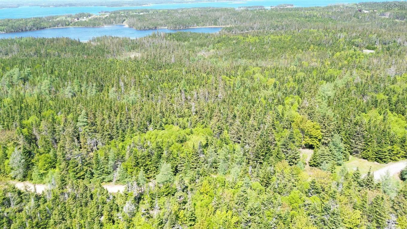 320 Highway, D'Escousse, NS