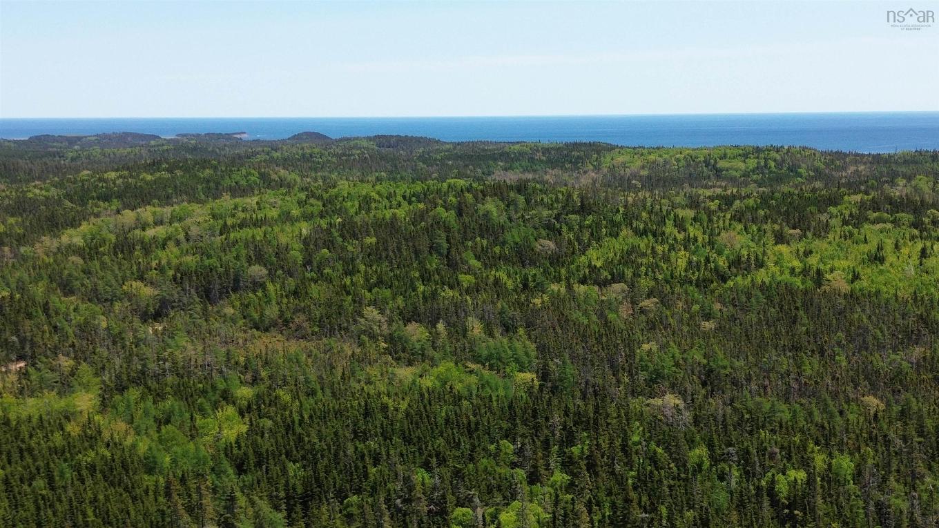 320 Highway, D'Escousse, NS