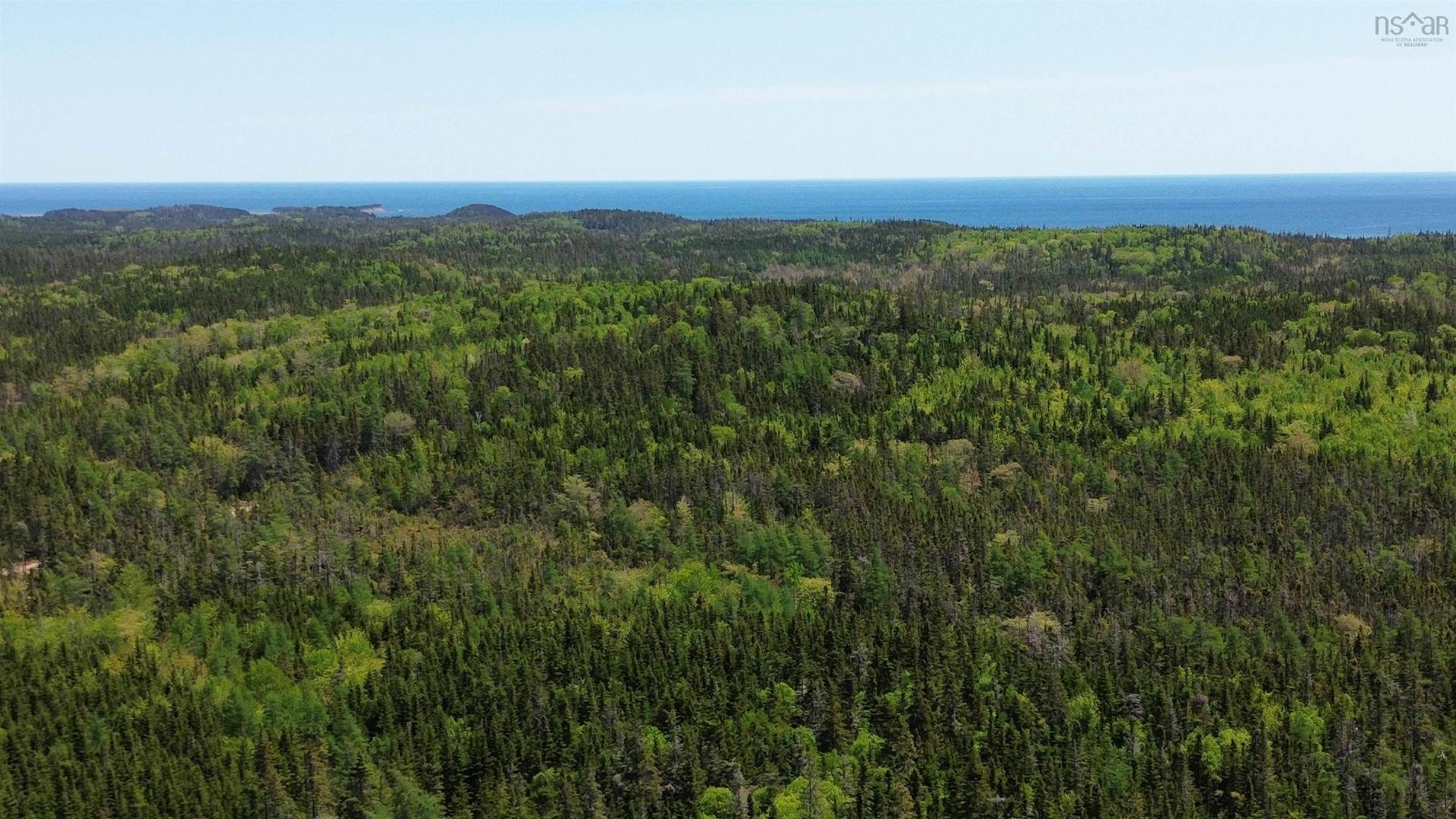 320 Highway, D'Escousse, NS