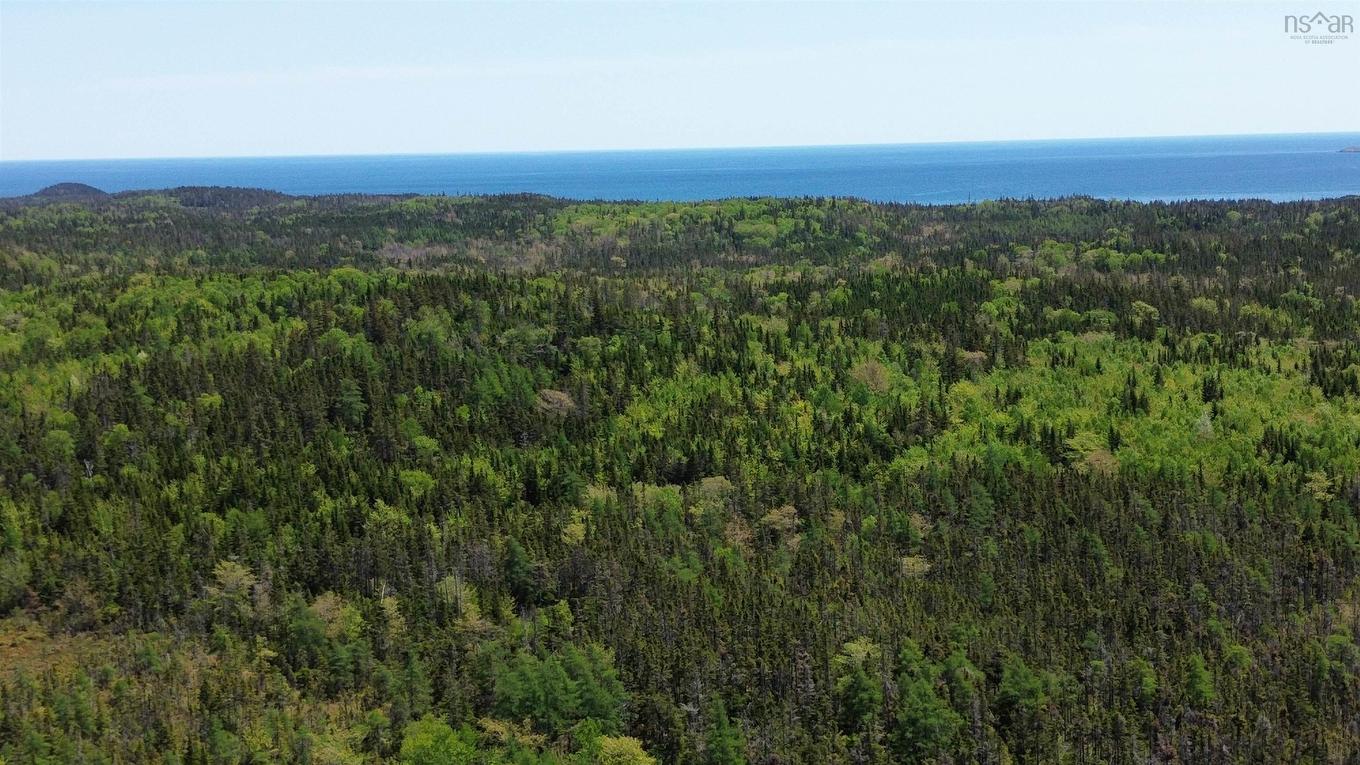 320 Highway, D'Escousse, NS