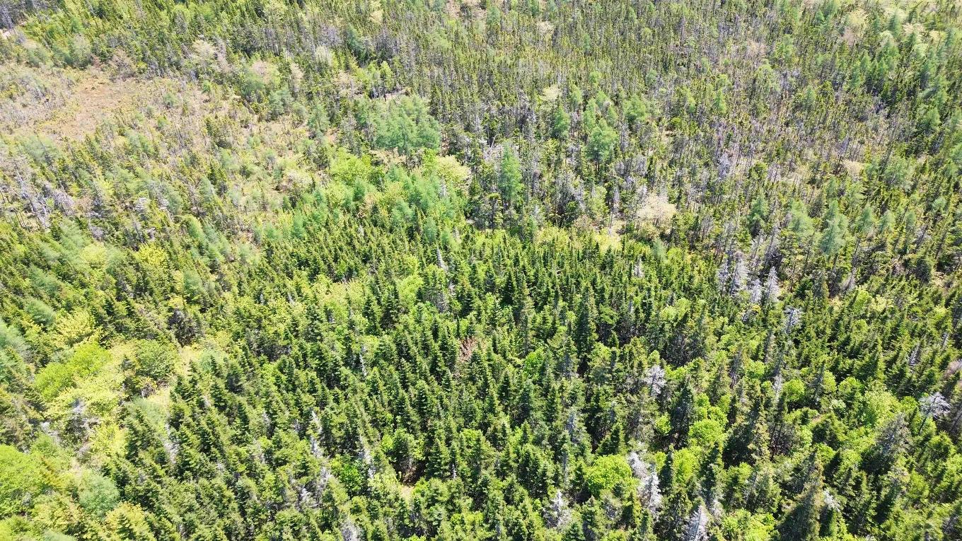 320 Highway, D'Escousse, NS