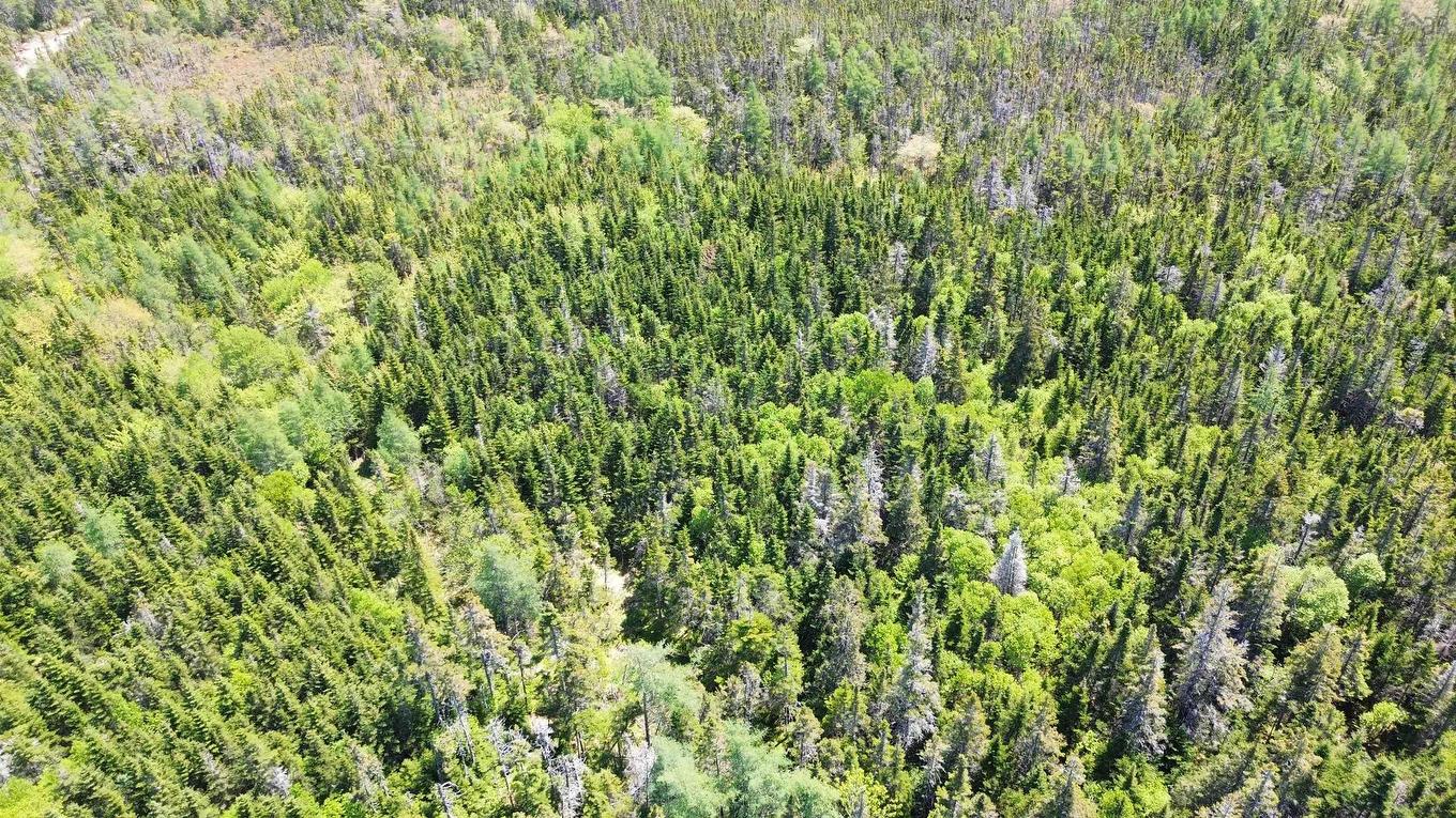 320 Highway, D'Escousse, NS