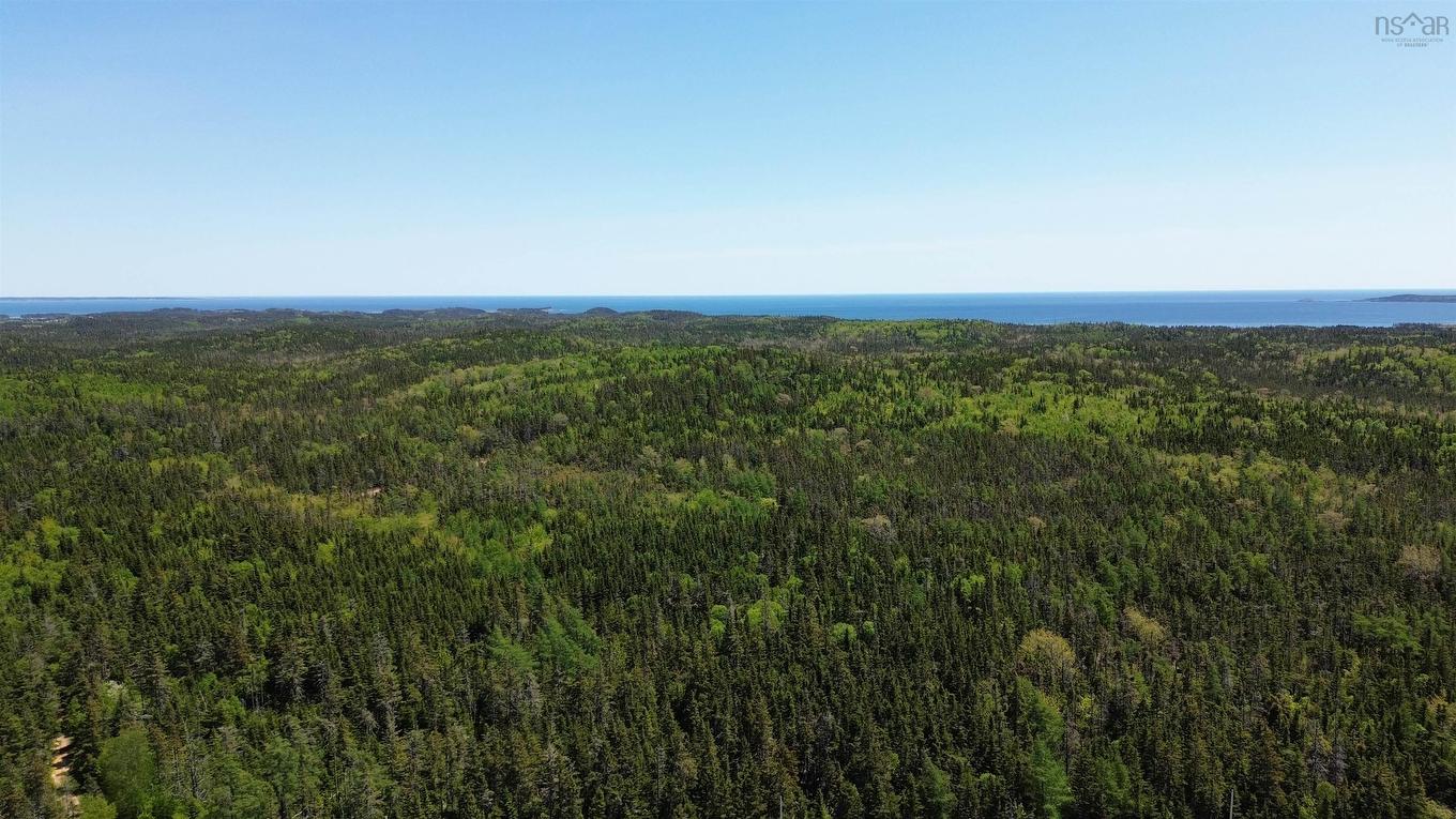 320 Highway, D'Escousse, NS