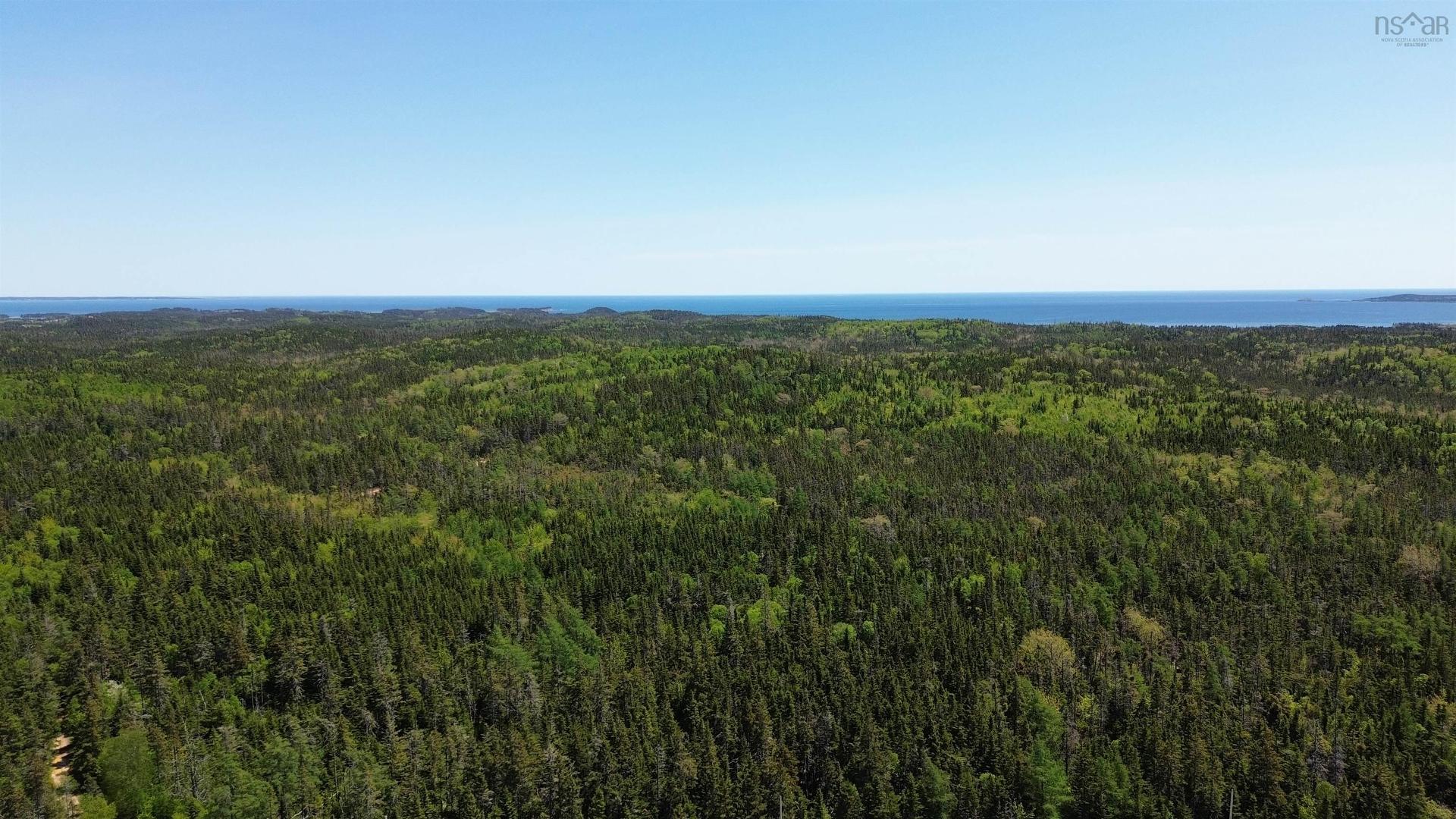 320 Highway, D'Escousse, NS