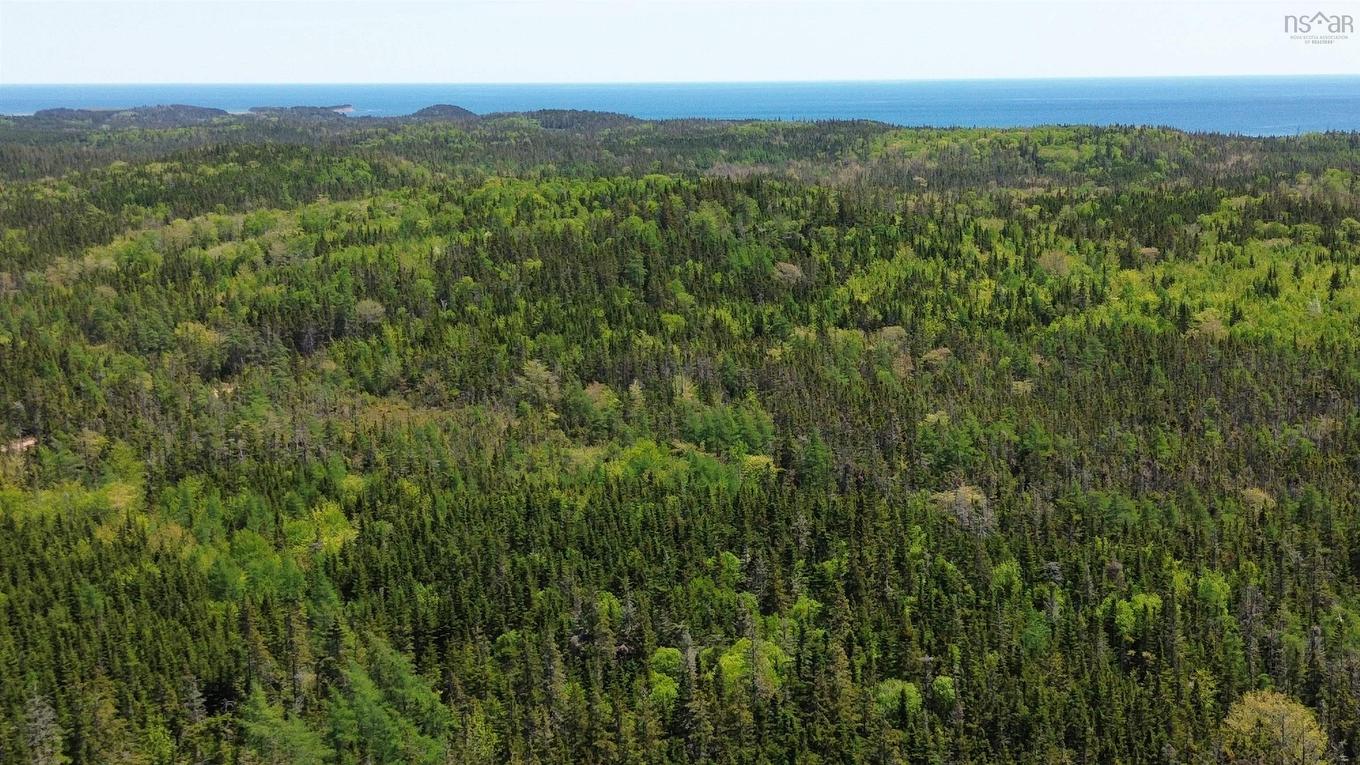 320 Highway, D'Escousse, NS