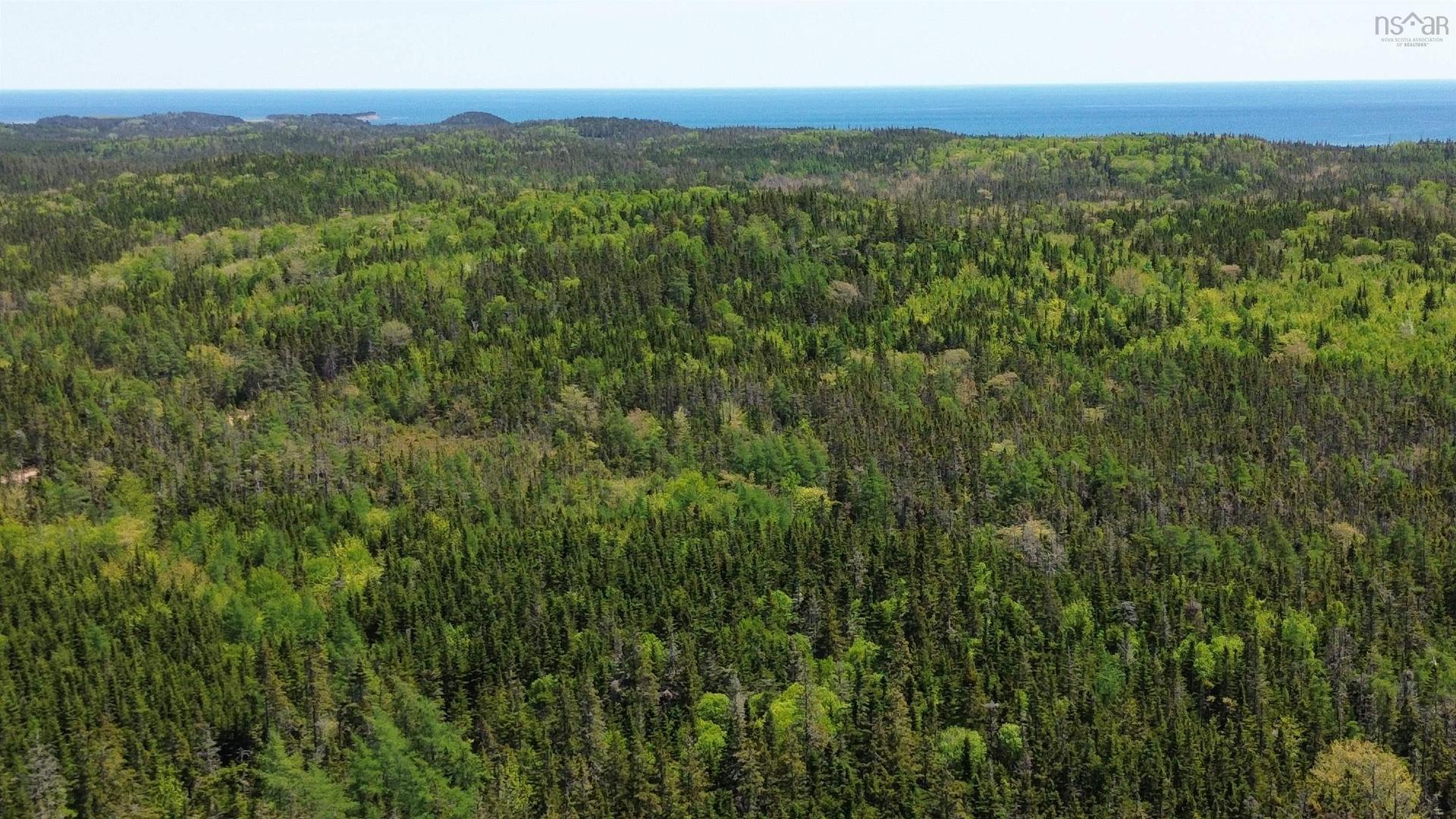 320 Highway, D'Escousse, NS
