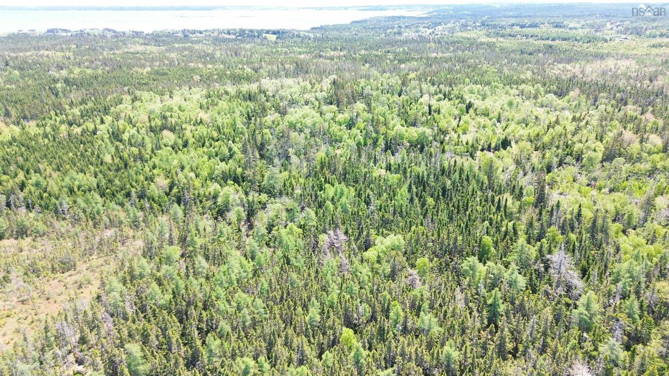 320 Highway, Poulamon, NS