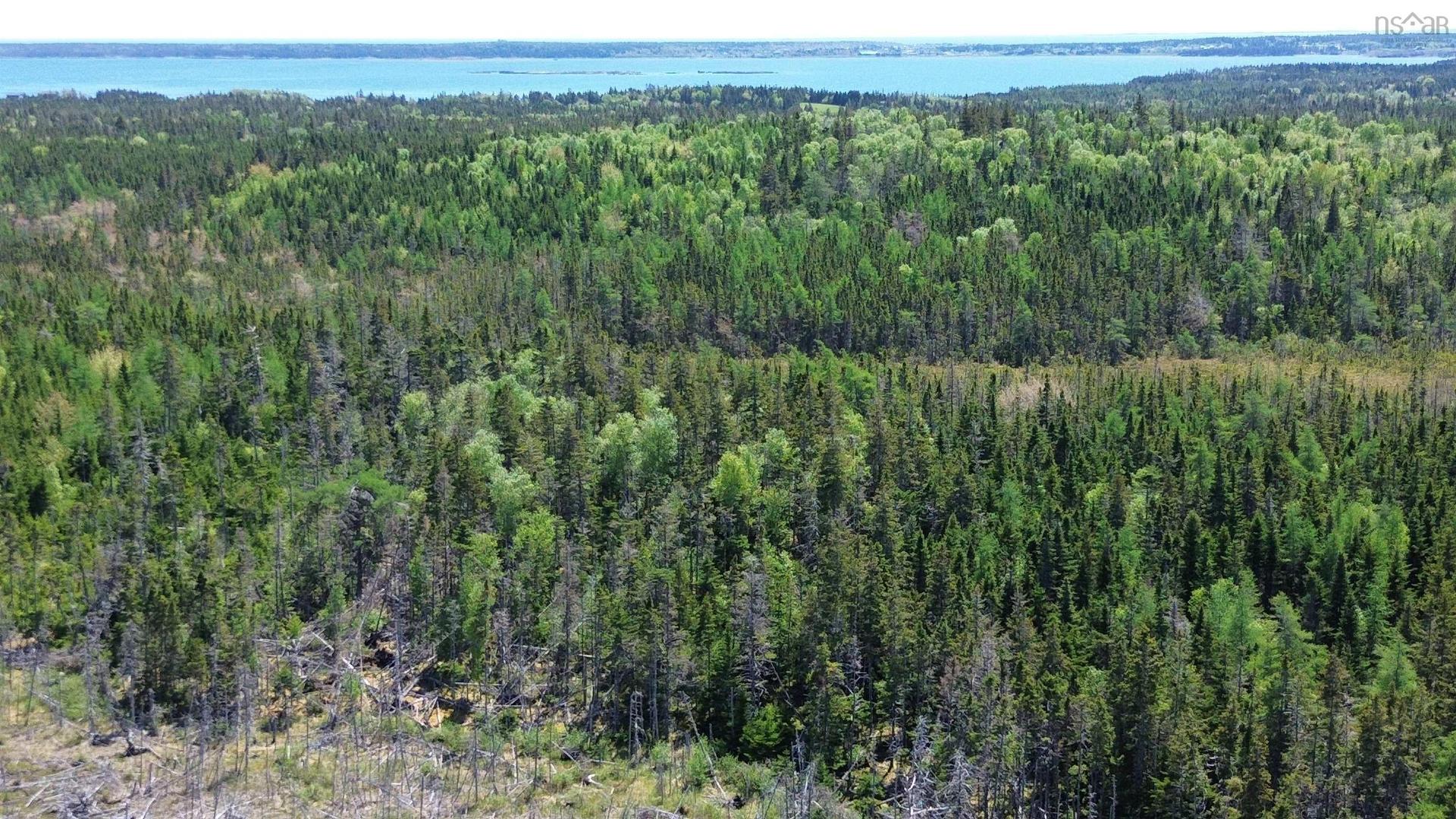 320 Highway, Poulamon, NS