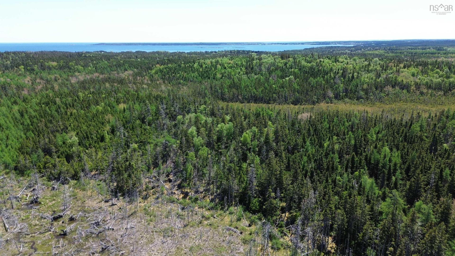 320 Highway, Poulamon, NS