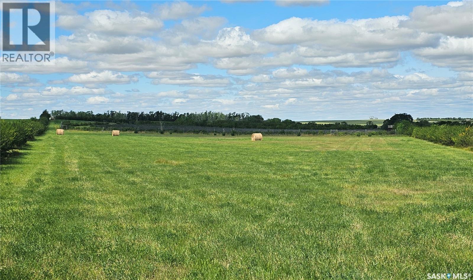 Mcleod Acreage, Miry Creek Rm No. 229, SK - Outdoor With View