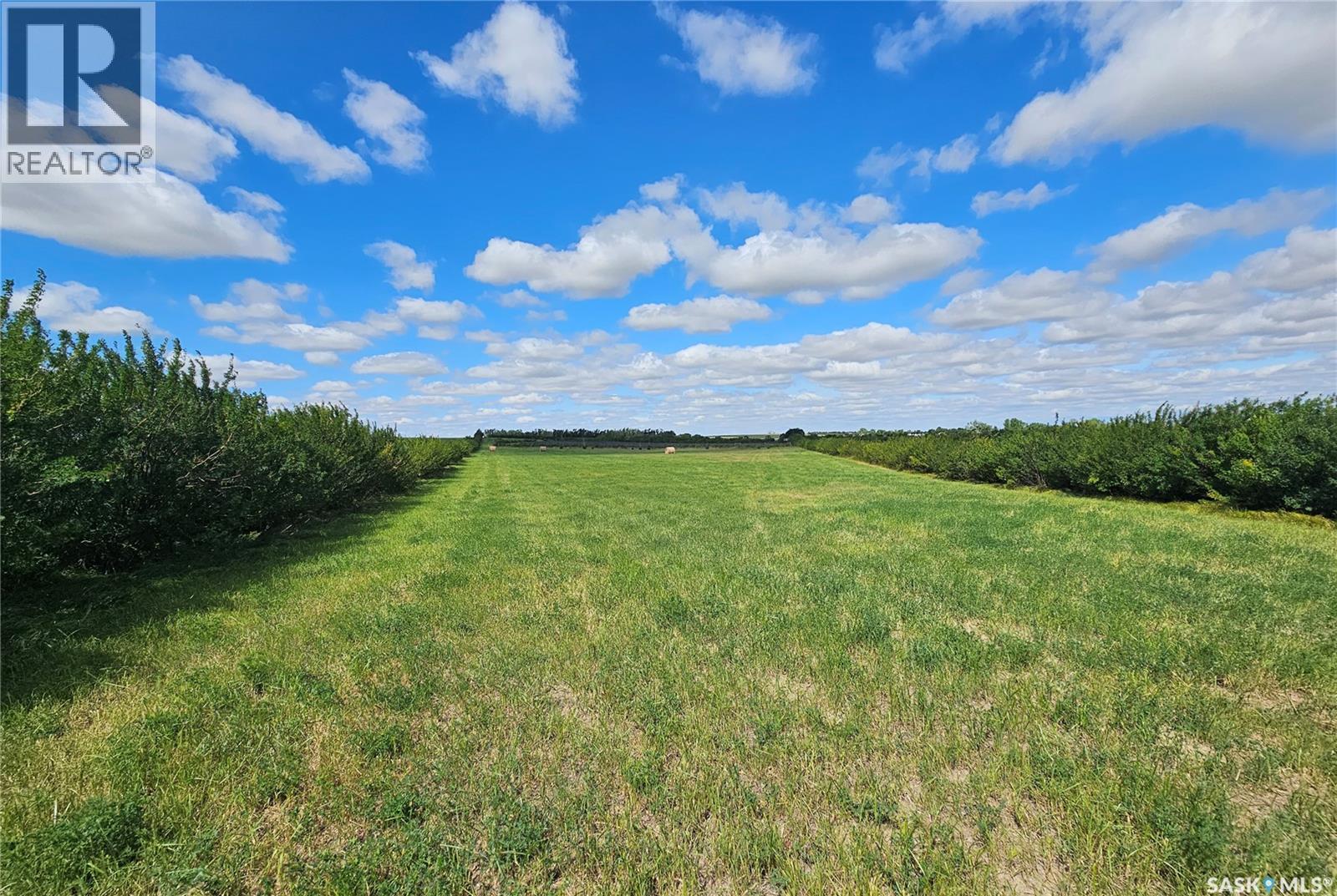 Mcleod Acreage, Miry Creek Rm No. 229, SK - Outdoor With View
