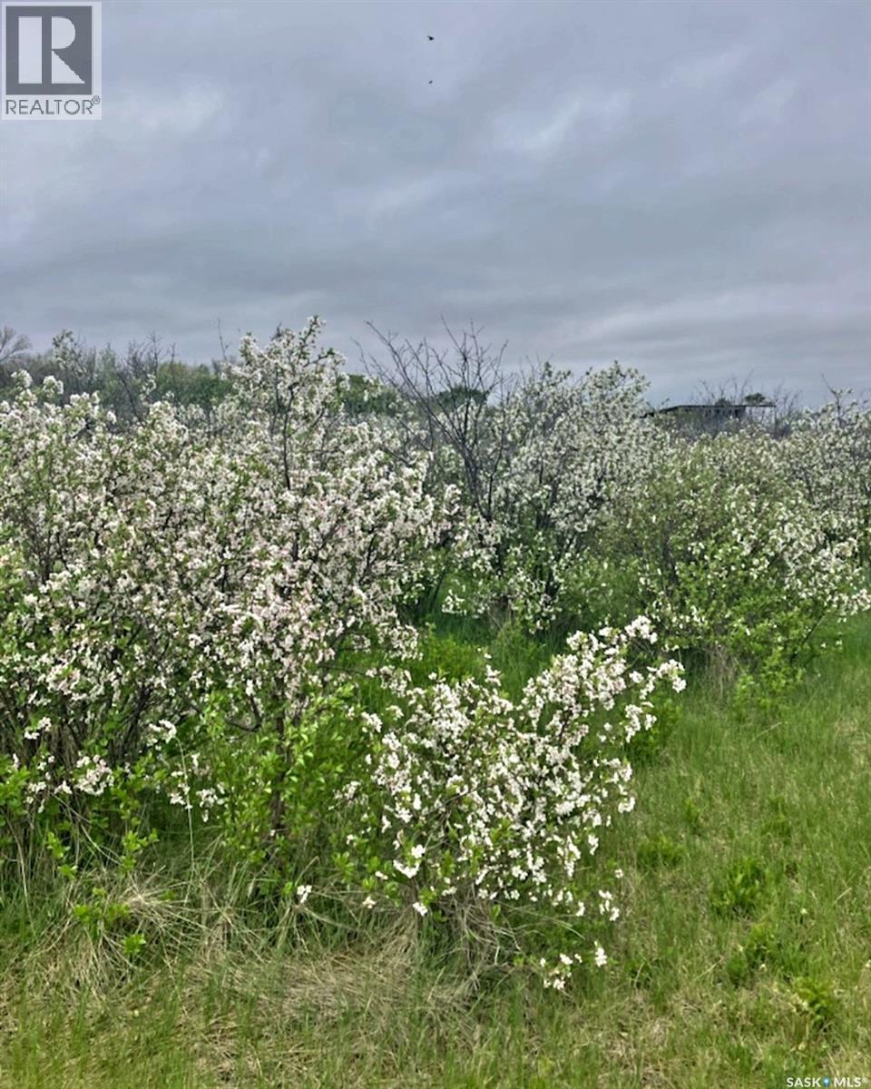 Mcleod Acreage, Miry Creek Rm No. 229, SK - Outdoor